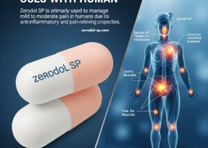 Zerodol SP Tablet ಉಪಯೋಗಗಳು